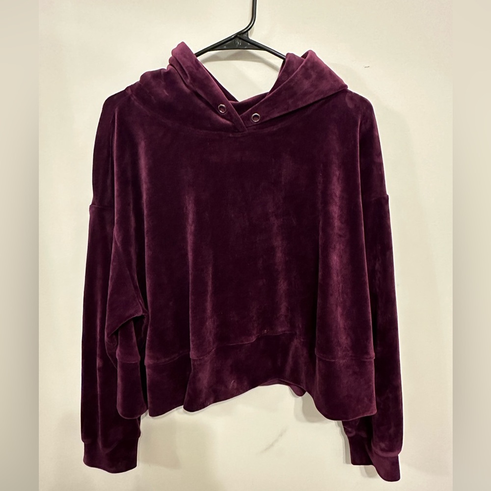 Velvet Philosophy Crop Hoodie